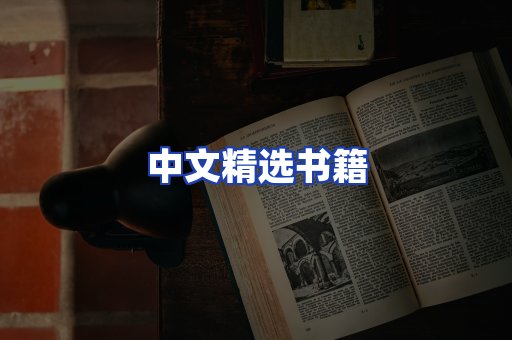 中文精选书籍